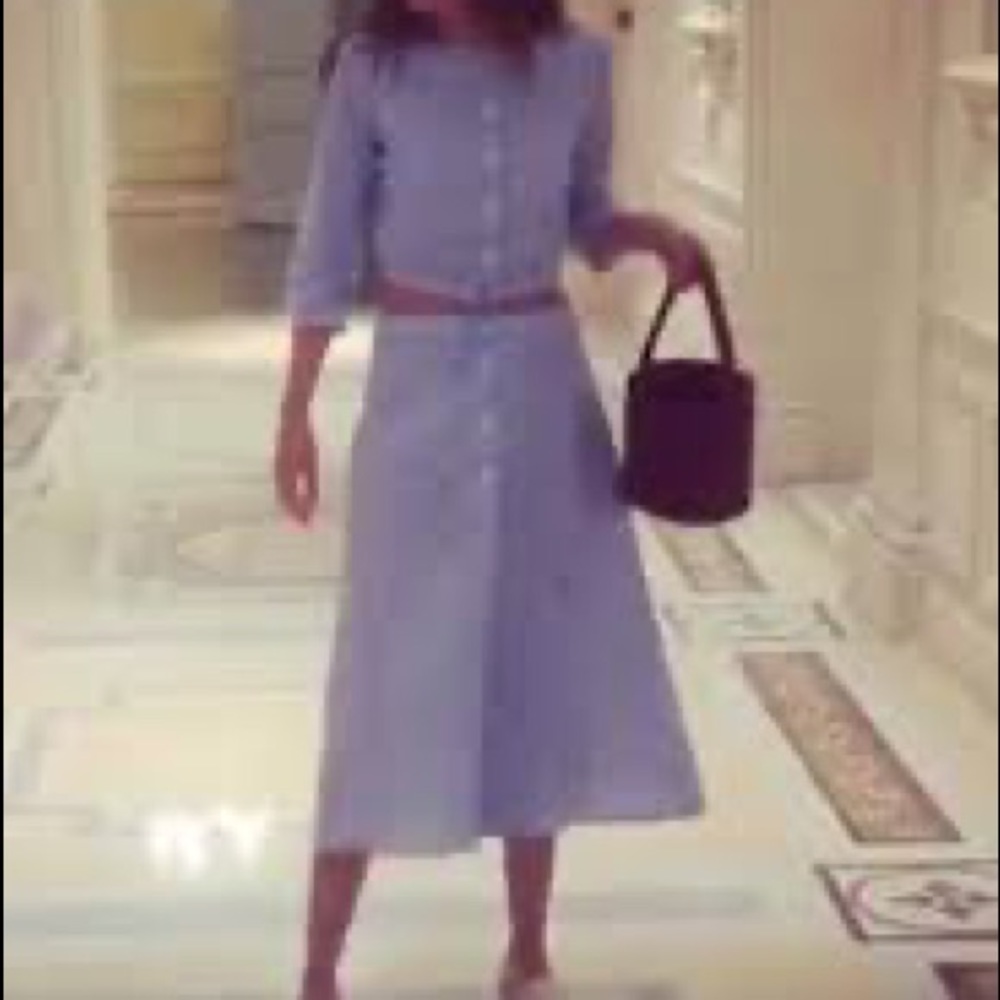 STAUD Joey Cropped Top & Tommy Midi Skirt ASO Dakota Johnson